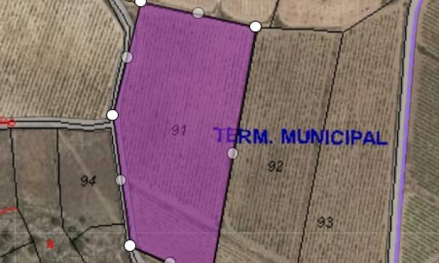 Land - Revente - Monovar - Monovar