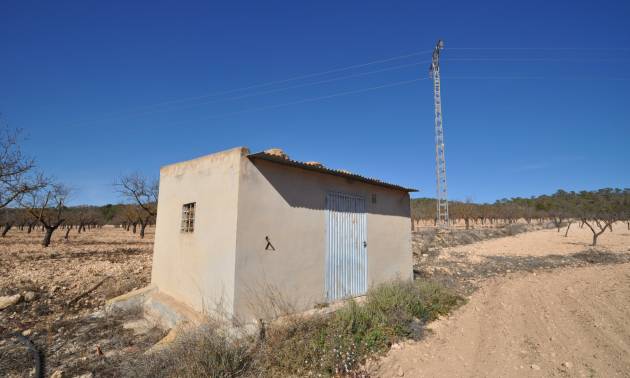 Land - Revente - Monovar - Monovar