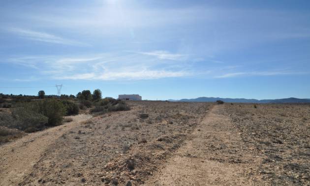 Land - Revente - Monovar - Monovar