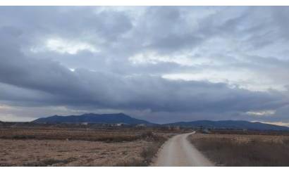 Land · Revente · Pinoso · Pinoso