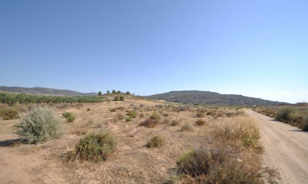 Land - Revente - Pinoso - Pinoso