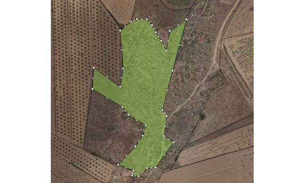 Land - Revente - Pinoso - Pinoso