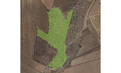 Land · Revente · Pinoso · Pinoso