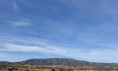 Land · Revente · Pinoso · Pinoso