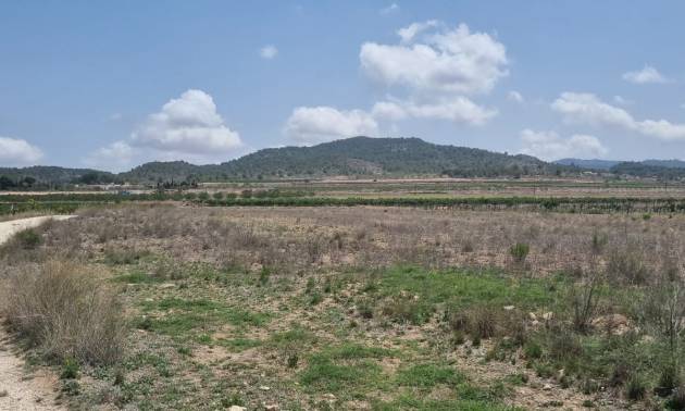 Land - Revente - Pinoso - Pinoso