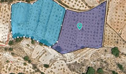 Land - Revente - Raspay - INM-67539