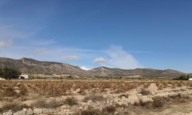 Land - Revente - Salinas - Salinas