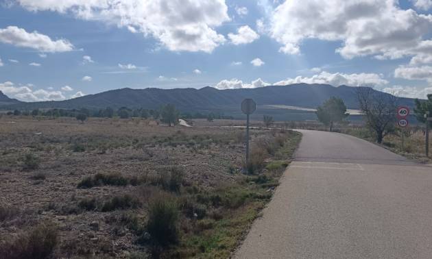 Land - Revente - Salinas - Salinas