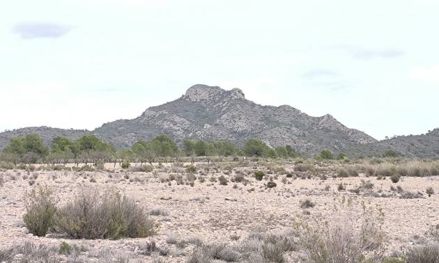 Land - Revente - Salinas - Salinas