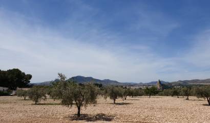 Land - Revente - Sax - INM-51795