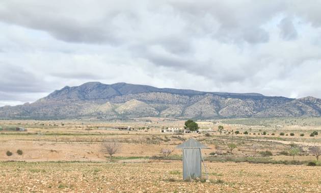 Land - Revente - Torre Del Rico - Torre Del Rico