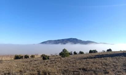 Land · Revente · Yecla · Yecla