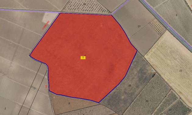 Land - Revente - Yecla - Yecla