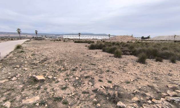 Land - Revente - Yecla - Yecla