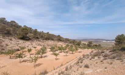 Land · Sale · Abanilla · Abanilla