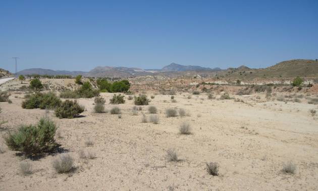 Land - Sale - Abanilla - Abanilla