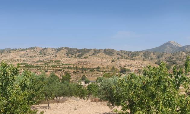 Land - Sale - Abanilla - Abanilla