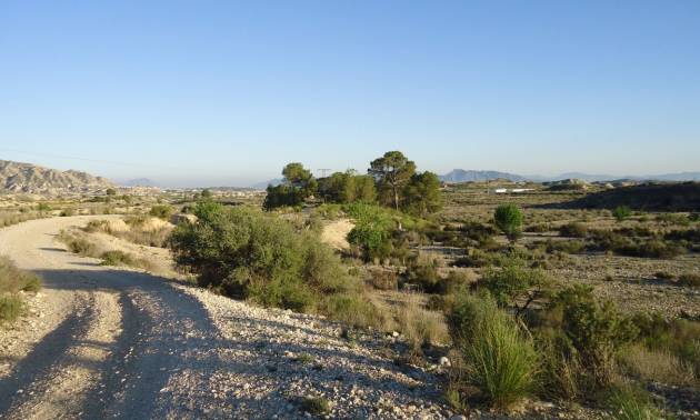 Land - Sale - Abanilla - Abanilla