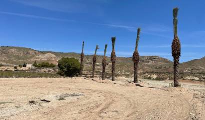 Land - Sale - Abanilla - INM-89124