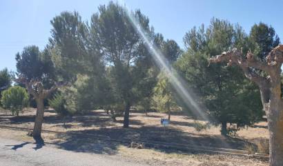 Land - Sale - Benejama - INM-99286