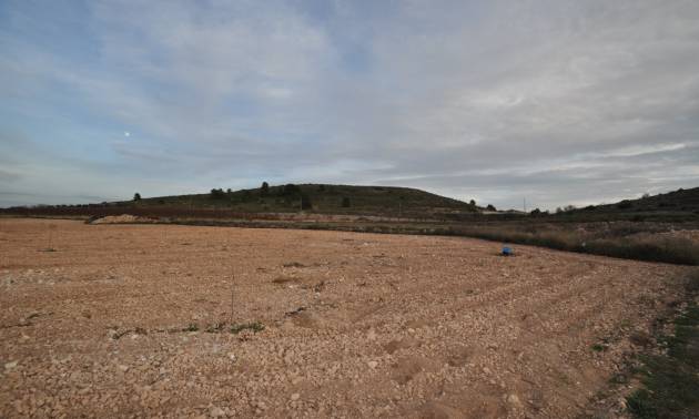 Land - Sale - Canada del Trigo - Canada del Trigo