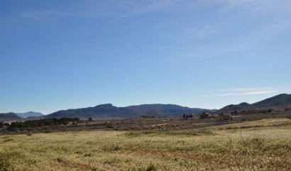 Land - Sale - Chinorlet - INM-38364