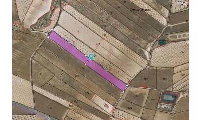 Land · Sale · Jumilla · Jumilla