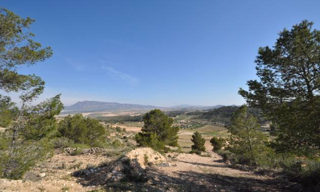 Land - Sale - La Zarza - La Zarza