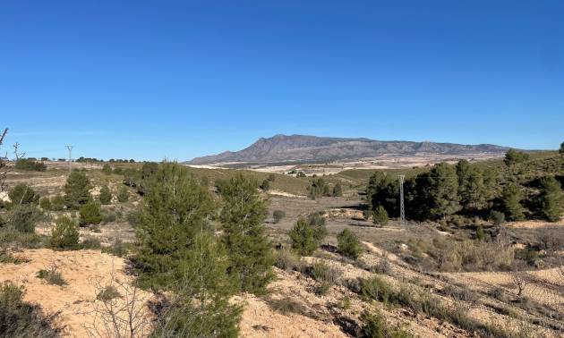 Land - Sale - La Zarza - La Zarza