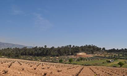 Land · Sale · La Zarza · La Zarza