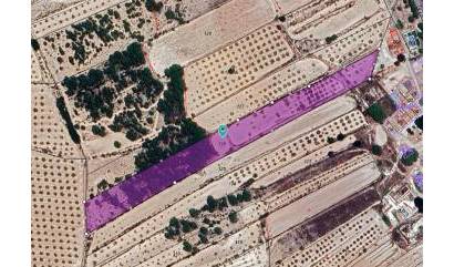 Land - Sale - Monovar - INM-18111