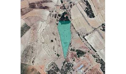 Land - Sale - Monovar - INM-72409