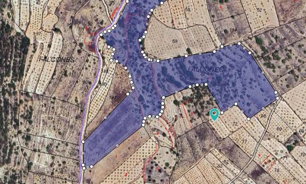 Land - Sale - Monovar - Monovar