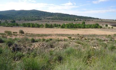 Land · Sale · Monovar · Monovar