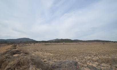 Land · Sale · Monovar · Monovar