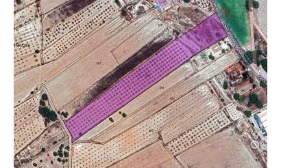 Land · Sale · Monovar · Monovar