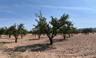 Land · Sale · Monovar · Monovar