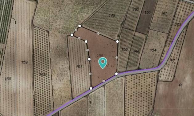 Land - Sale - Pinoso - Pinoso