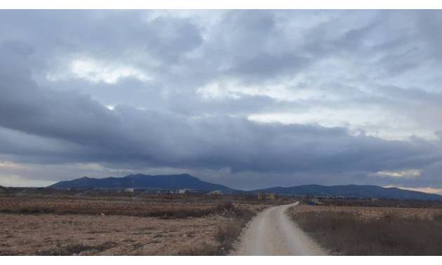 Land - Sale - Pinoso - Pinoso