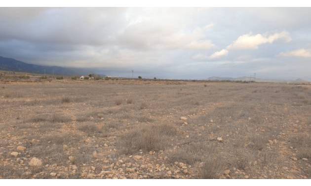 Land - Sale - Pinoso - Pinoso