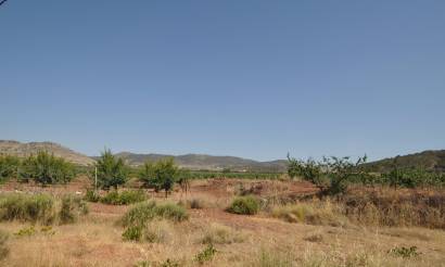 Land · Sale · Pinoso · Pinoso