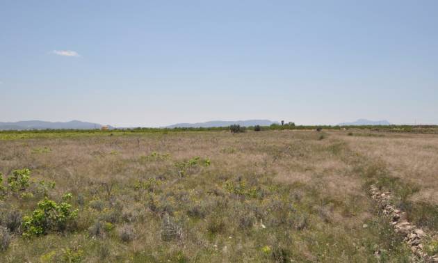 Land - Sale - Pinoso - Pinoso