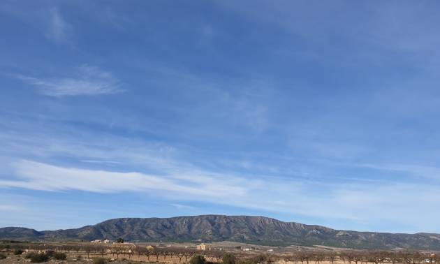 Land - Sale - Pinoso - Pinoso