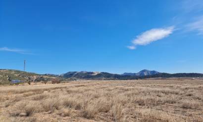 Land · Sale · Pinoso · Pinoso