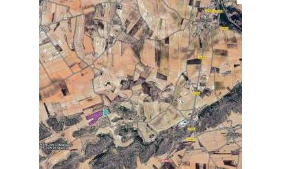 Land · Sale · Pinoso · Pinoso