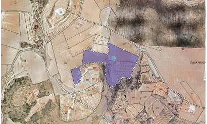 Land · Sale · Pinoso · Pinoso