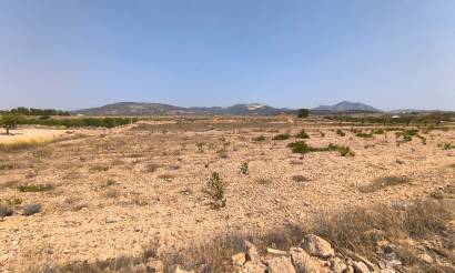 Land · Sale · Pinoso · Pinoso