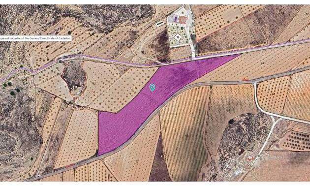 Land - Sale - Pinoso - Pinoso