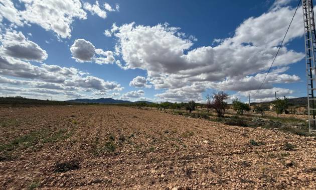 Land - Sale - Pinoso - Pinoso
