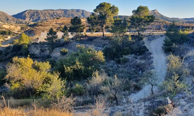 Land - Sale - Relleu - Relleu